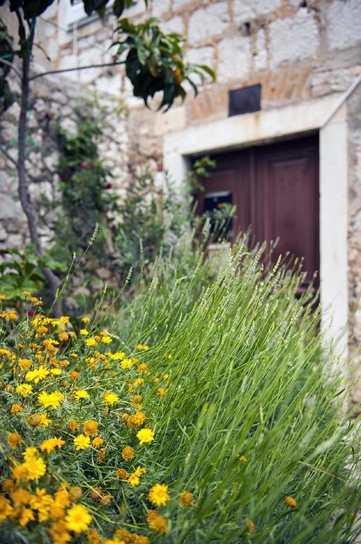 Dalmatian Garden - Free Parking - City Centre Šibenik Værelse billede